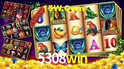Canal oficial no Telegram da 5308win